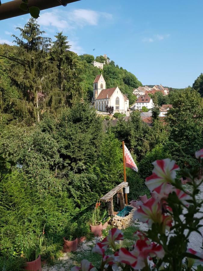 Le Nid Du Caveau Holiday home Ferrette